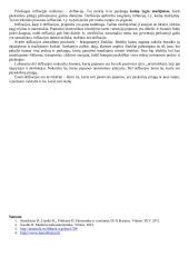 Pagrindiniai makroekonominiai rodikliai  3 puslapis