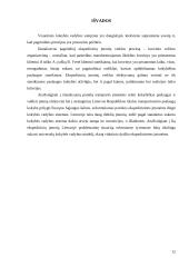 Ekspedicinių įmonių veiklos procesų valdymo (suderinamumo) būdai ir gerinimo sprendimai 12 puslapis