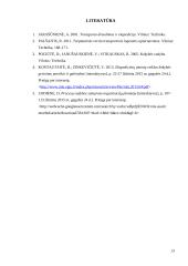 Ekspedicinių įmonių veiklos procesų valdymo (suderinamumo) būdai ir gerinimo sprendimai 13 puslapis