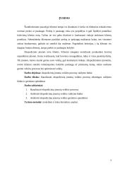 Ekspedicinių įmonių veiklos procesų valdymo (suderinamumo) būdai ir gerinimo sprendimai 3 puslapis