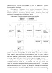 Ekspedicinių įmonių veiklos procesų valdymo (suderinamumo) būdai ir gerinimo sprendimai 10 puslapis