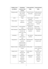 Informacijos valdymo pagrindų ataskaita 5 puslapis