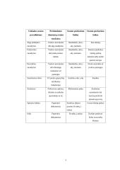 Informacijos valdymo pagrindų ataskaita 7 puslapis