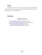 Horizontalieji eskalatoriai 11 puslapis