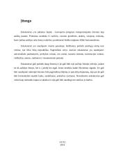 Horizontalieji eskalatoriai 3 puslapis