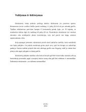 Horizontalieji eskalatoriai 6 puslapis