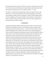 Vaikų sergančiųjų ausies, nosies, gerklės ligomis slaugos ypatumai bendruomėnėje 11 puslapis