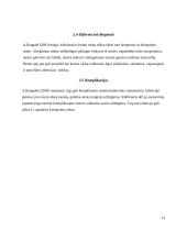 Vaikų sergančiųjų ausies, nosies, gerklės ligomis slaugos ypatumai bendruomėnėje 12 puslapis