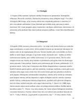 Vaikų sergančiųjų ausies, nosies, gerklės ligomis slaugos ypatumai bendruomėnėje 15 puslapis