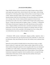 Vaikų sergančiųjų ausies, nosies, gerklės ligomis slaugos ypatumai bendruomėnėje 20 puslapis