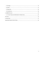 Vaikų sergančiųjų ausies, nosies, gerklės ligomis slaugos ypatumai bendruomėnėje 3 puslapis