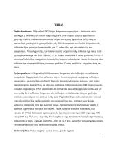 Vaikų sergančiųjų ausies, nosies, gerklės ligomis slaugos ypatumai bendruomėnėje 4 puslapis