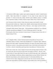 Vaikų sergančiųjų ausies, nosies, gerklės ligomis slaugos ypatumai bendruomėnėje 6 puslapis