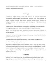 Vaikų sergančiųjų ausies, nosies, gerklės ligomis slaugos ypatumai bendruomėnėje 7 puslapis