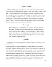 Vaikų sergančiųjų ausies, nosies, gerklės ligomis slaugos ypatumai bendruomėnėje 10 puslapis