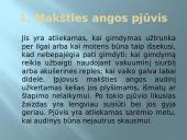 Gimdymas ir naujagimis 11 puslapis