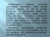 Gimdymas ir naujagimis 13 puslapis