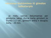 Gimdymas ir naujagimis 6 puslapis