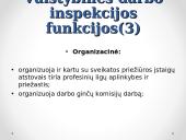 VDI ir jos funkcijos 11 puslapis