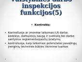 VDI ir jos funkcijos 13 puslapis