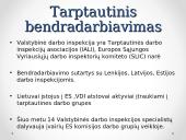 VDI ir jos funkcijos 16 puslapis