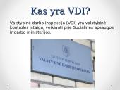 VDI ir jos funkcijos 3 puslapis