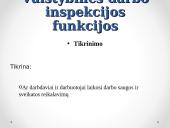 VDI ir jos funkcijos 9 puslapis