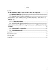 Ikimokyklinio amžiaus vaikų adaptacijos darželyje ypatumai 2 puslapis