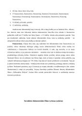 Lietuviško dokumentinio kino rinkodara − sklaida ir finansavimas 13 puslapis