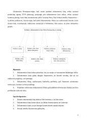 Lietuviško dokumentinio kino rinkodara − sklaida ir finansavimas 3 puslapis
