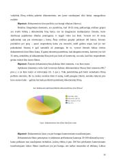 Lietuviško dokumentinio kino rinkodara − sklaida ir finansavimas 10 puslapis