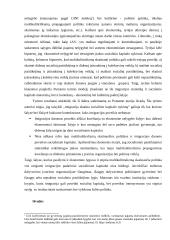 Imigracijos ir socialinio kapitalo santykis 6 puslapis