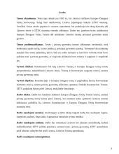 Teisė į privatų gyvenimą EŽTK bylose prieš Lietuvą 3 puslapis