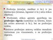 Viešojo administravimo etika skaidrės 12 puslapis