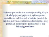 Viešojo administravimo etika skaidrės 13 puslapis