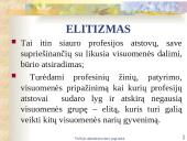 Viešojo administravimo etika skaidrės 15 puslapis