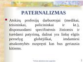 Viešojo administravimo etika skaidrės 16 puslapis