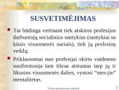 Viešojo administravimo etika skaidrės 17 puslapis