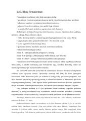 Išorinė atmintis ir jos sąsajos 15 puslapis