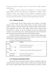 Išorinė atmintis ir jos sąsajos 16 puslapis