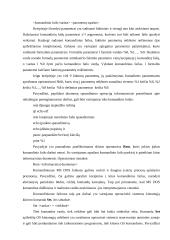 Išorinė atmintis ir jos sąsajos 19 puslapis