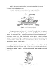 Išorinė atmintis ir jos sąsajos 5 puslapis