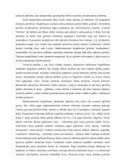 Išorinė atmintis ir jos sąsajos 8 puslapis