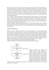 Asmeninių kompiuterių (AK) sisteminiai resursai 16 puslapis