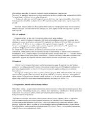 Asmeninių kompiuterių (AK) sisteminiai resursai 18 puslapis