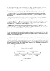 Asmeninių kompiuterių (AK) sisteminiai resursai 7 puslapis