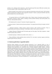 Asmeninių kompiuterių (AK) sisteminiai resursai 9 puslapis