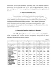 APB "Apranga" finansų analizė 13 puslapis