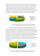 Įmonės konkurencingumas 17 puslapis