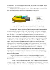 Įmonės konkurencingumas 19 puslapis